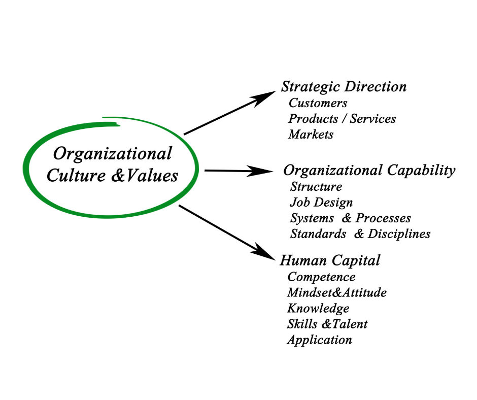 Fancy words or key factors? Are organizational values really that ...