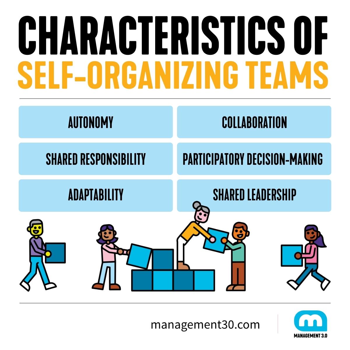 https://management30.com/blog/self-organizing-team/