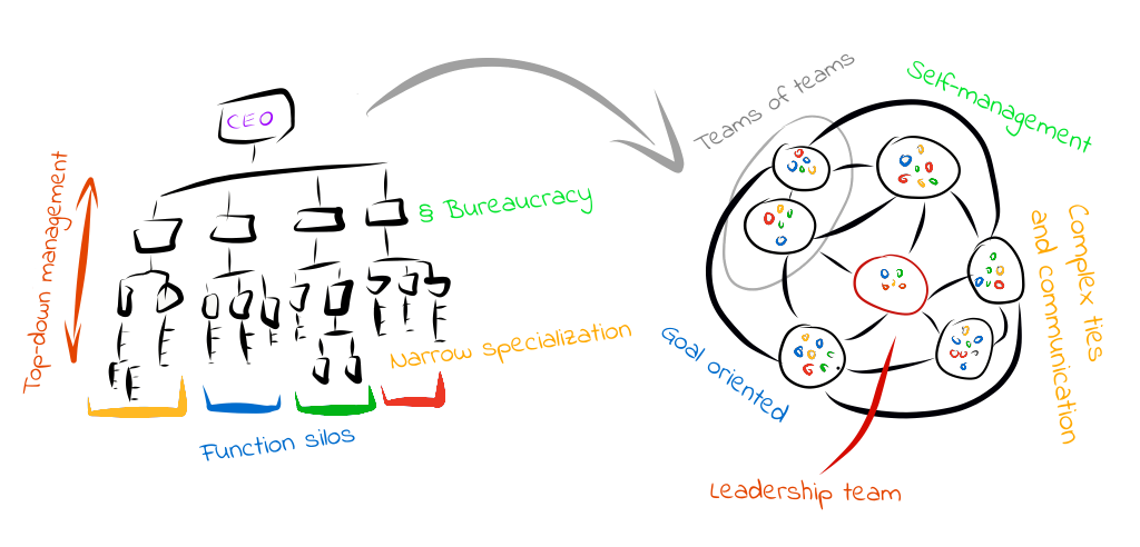 Top-down management vs agile | PM consulting